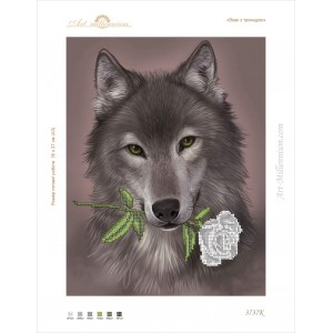 3737K Wolf with a white rose
