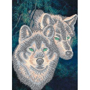 W-0679 Wolves in a pine forest A3