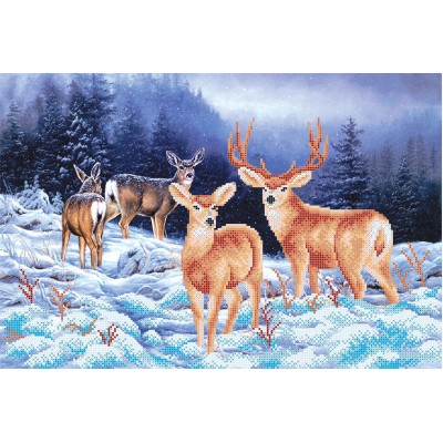 W-223 Deer in winter